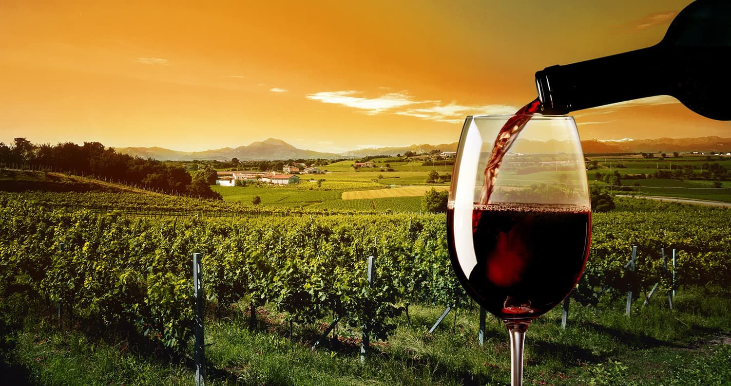 Bordeaux vineyard and a glass of wine at sunset