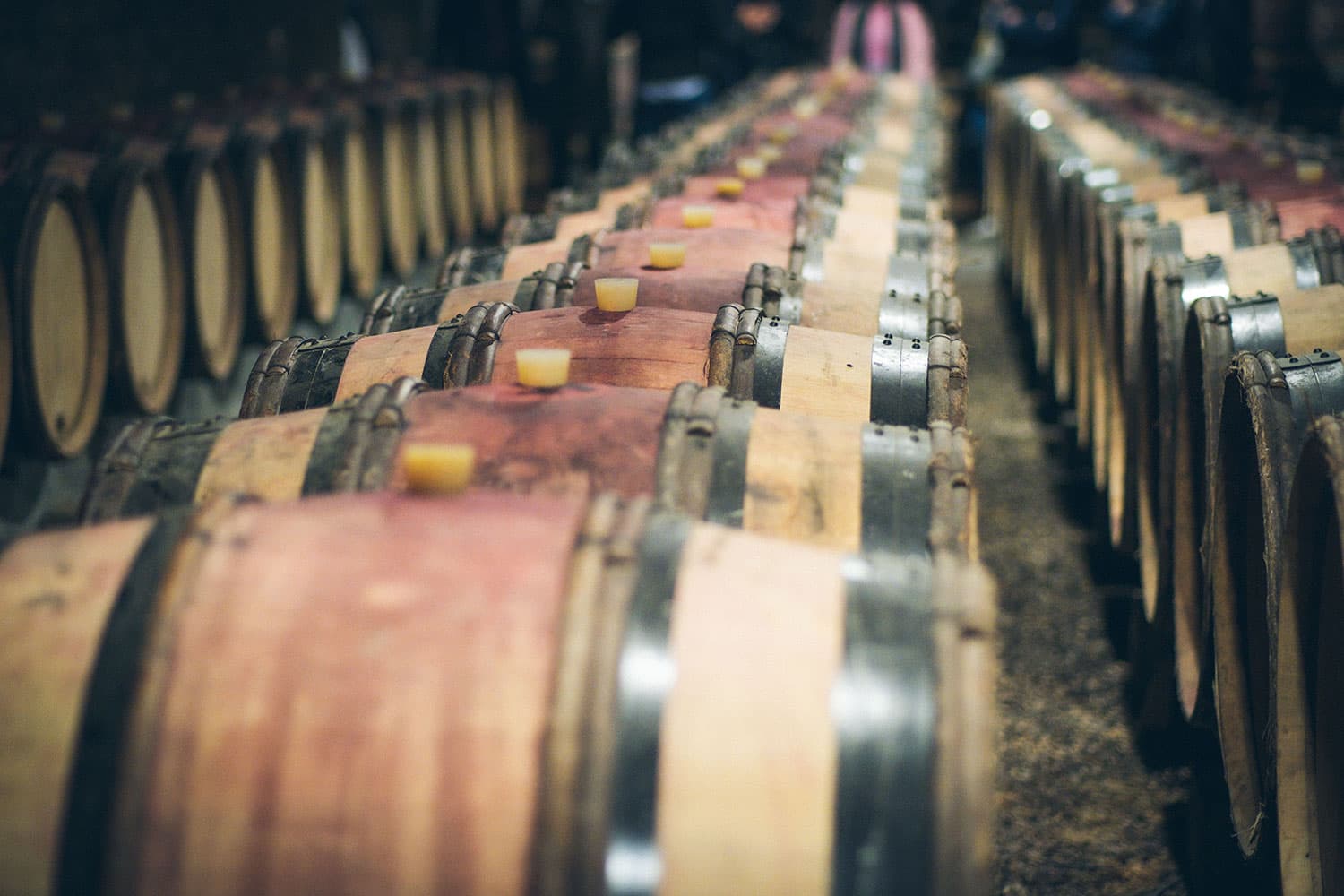 Rows of Bordeaux wine barrels in a cellar