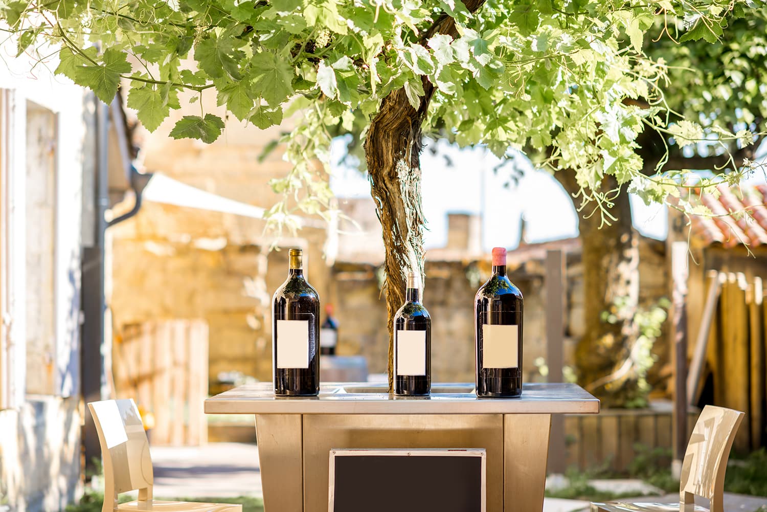 Magnums of Bordeaux wine under the vine