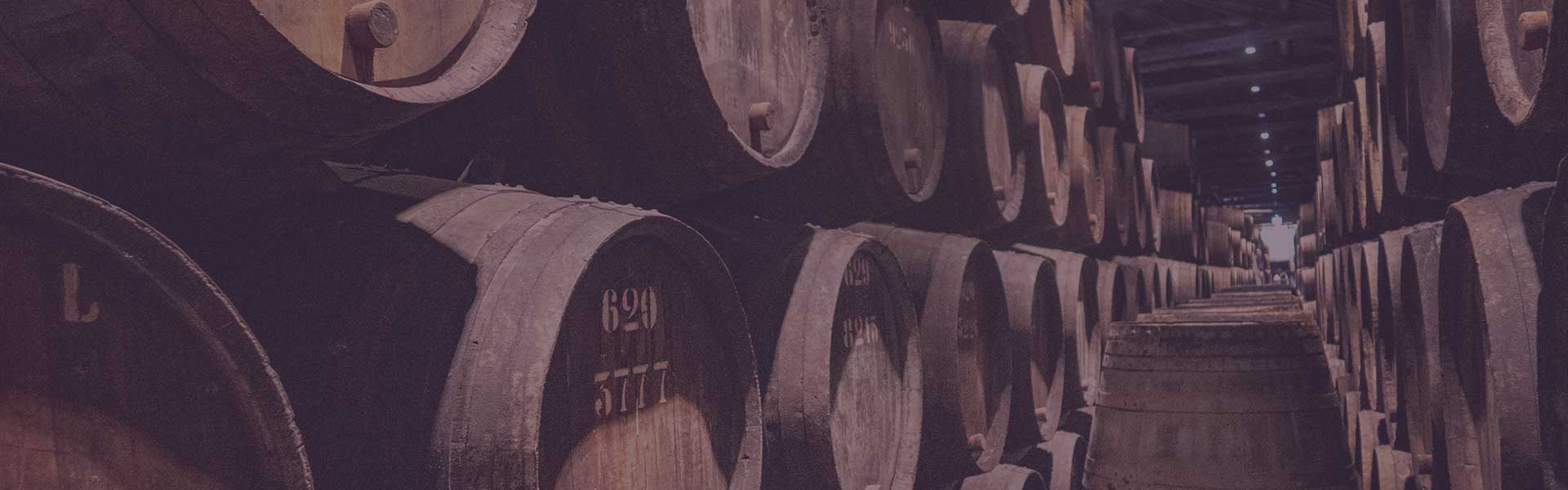 Tonneaux en cave, élevage des vins de Bordeaux et savoir-faire bordelais